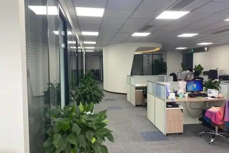看球网多端同步观赛体验展示